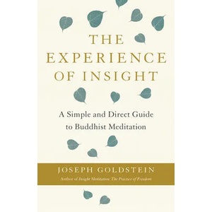 Experience of Insight | Joseph Goldstein (ISBN: 9781611808162)
