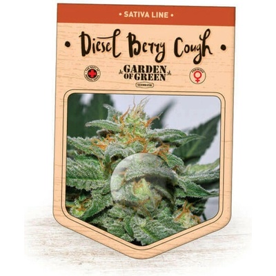 Garden Of Green Seedbank Diesel Berry Cough semienka neobsahujú THC 15 ks