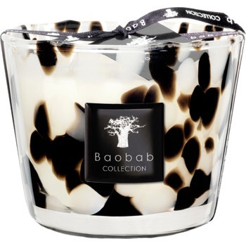 Baobab Collection Black Pearls 10 cm