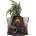 Nemesis Now Статуетка Nemesis Now Fantasy: Dragons - Draconis Arcanum, 25 cm (U7212C25)