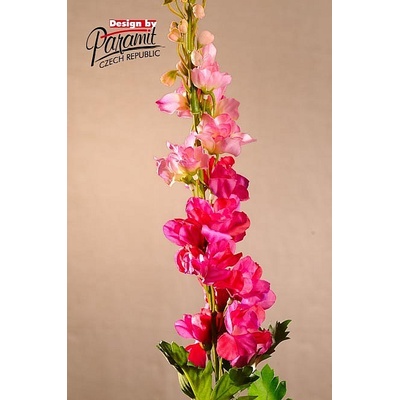 Delphinium vínovej 79 cm 79 cm