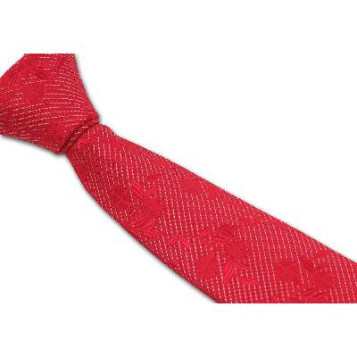 Pánská kravata se vzory