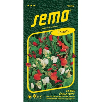 Semo Fazol šarlatový - pnoucí červenobílý 9s
