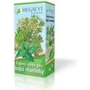Megafyt bylinný čaj pre dojčiace mamičky s jastrabiny 20 x 1,5 g