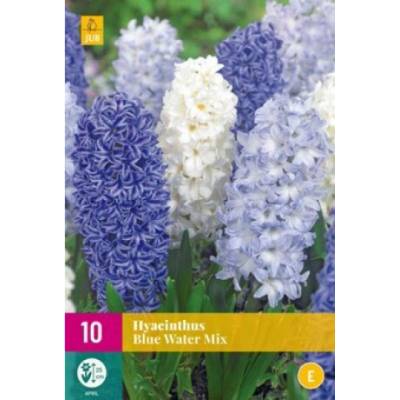 Maják Hyacint XXL Blue Water Mix "E" 10 ks