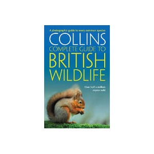 British Wildlife | Sterry (ISBN: 9780007236831)