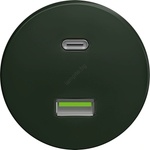 Kliklap - Ретро USB контакт A+C без рамка, зелен (KA0091)