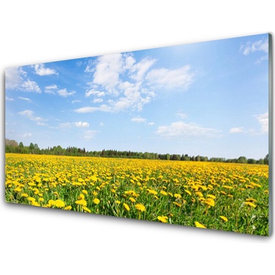 Obraz na skle Pampeliška Krajina 100x50 cm