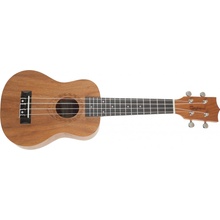 Tanglewood TWT2