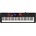 Casio CT-S1000V