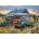 Cobble Hill - Puzzle Trading Post - 1 000 piese