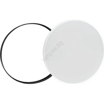 Image 1 of Wojnarowscy Nymphea WJ0354