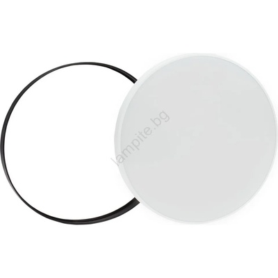 Wojnarowscy Nymphea WJ0354