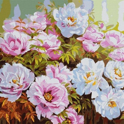 Ideya Maľovanie podľa čísiel ruže na Turíce 50 x 50 cm