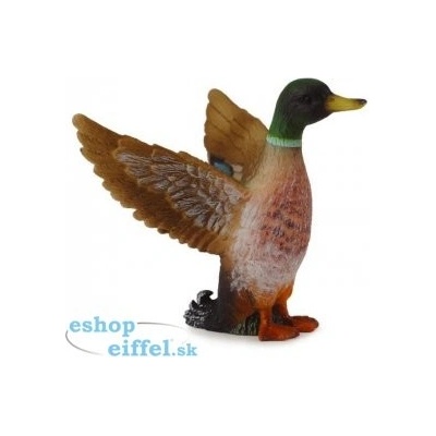 Collecta Kačica divá káčer