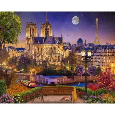 Figured ART malování podle čísel PAŘÍŽSKÝ NOTRE DAME V NOCI