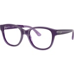 Ray-Ban RY1950 7206