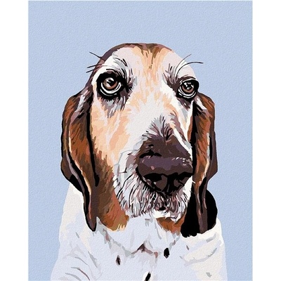 zuty malování podle čísel Baset 80 x 100 cm vypnuté plátno na rám