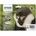 Epson T0896