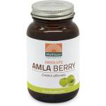 Mattisson Healthstyle Имунитет - Амла, 500 mg x 60 капсули Mattisson Healthstyle (MT2177)