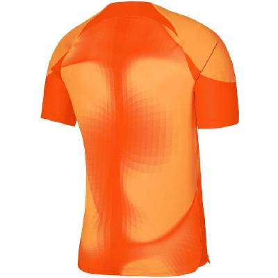 M nk dfadv gardien iv gk jsy ss