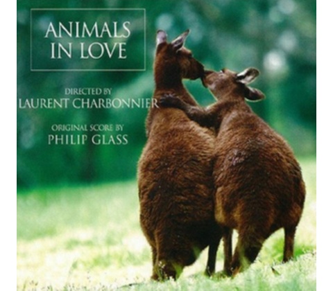 Animals In Love