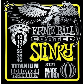 Ernie Ball P03121