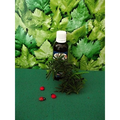 Rabštejnská apatyka Bříza tinktura z pupenů rostlin 50 ml – Zboží Mobilmania