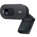 Logitech C505 HD Webcam