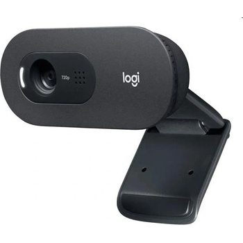Logitech C505 HD Webcam