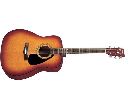 Yamaha F310
