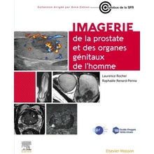 Imagerie de la prostate et des organes génitaux de l'homme Laurence Rocher,Professeur Raphaëlle Renard-Penna
