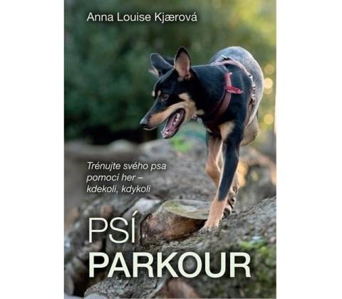 Psí parkour