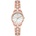 Michael Kors MK6674