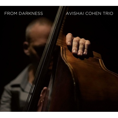 Cohen Avishai -Trio - From Darkness LP