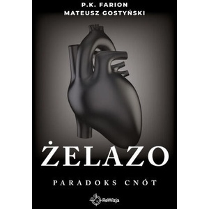 Żelazo. Paradoks cnót. Tom 2 | P. K. Farion, Mateusz Gostyński (2023)