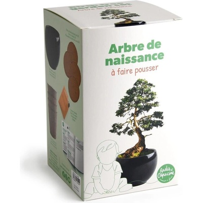 Radis et Capucine Кедър в черна саксия - комплект за отглеждане (pf143199)