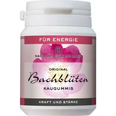 Žuvačka Dr. E Bacha - Energia 60g
