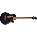 Ibanez AEGB24E