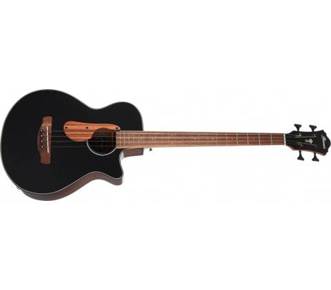 Ibanez AEGB24E