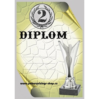 VIZINGR Diplom A4 Dč.49