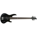 ESP LTD B-15 Kit