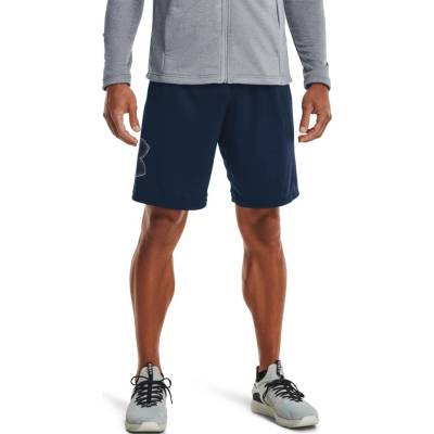 Under Armour Pánské Kraťasy