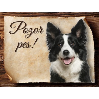 Sport hobby Cedulka Border kolie II Pozor pes CP174 20 x 15 cm
