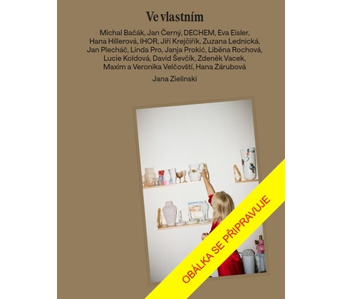 Ve vlastním