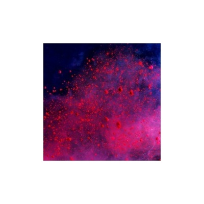 ENGINEERS - ALWAYS RETURING (1CD)
