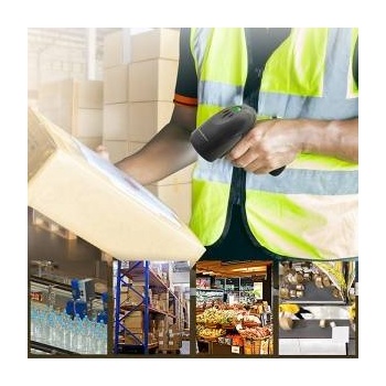 Qoltec Barcode Reader Wired 1D (50866)