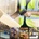 Qoltec Barcode Reader Wired 1D (50866)
