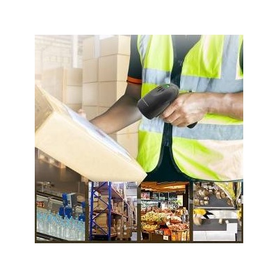 Qoltec Barcode Reader Wired 1D (50866)