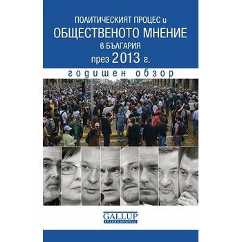 Политическият процес и общественото мнение в България през 2013 г
